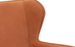 Esszimmerstuhle Leogang