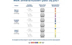Kopfkissen Silvana Support Grenat