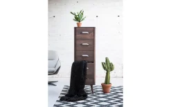 Schubladenschrank Dodge